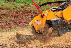 Best Lawn Irrigation Installation and Maintenance  in Olney, IL