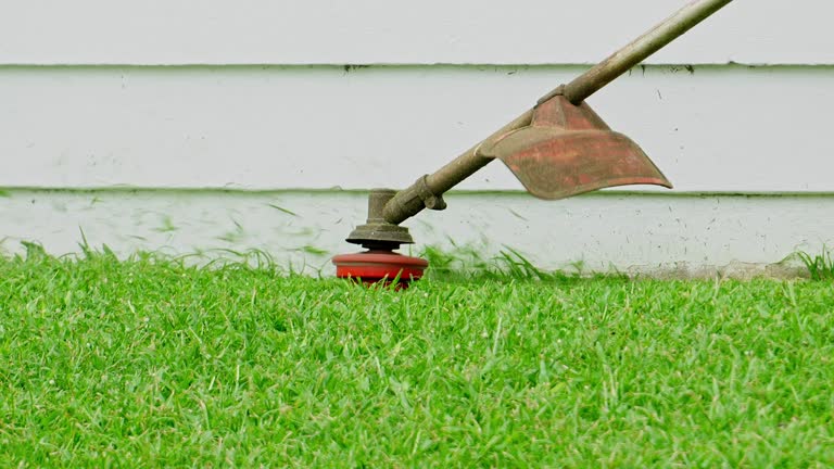 How Our Tree Care Process Works  in  Olney, IL